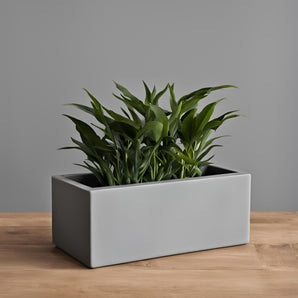 Moderne rektangulær plantekasse til små planter
