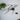Supporto a parete regolabile per modello NASA Shuttle Carrier