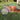 Punte da terreno Navimow per robot tagliaerba Segway (H500-H3000)