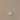 Staffa da parete per Google Nest Wifi Pro