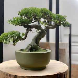 Vaso bonsai minimalista rotondo per piccole piante