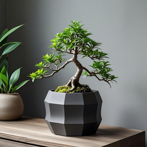 Moderno vaso per fiori decagonale dal design minimalista