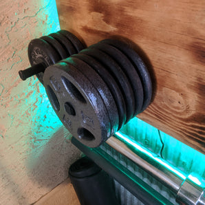 Perno di stoccaggio della piastra di peso per parete e Power Rack