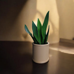 Retro Rattan Plantekrukke i Mid-Century Stil