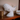 Scultura di balena realistica su elegante supporto