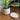 Vaso da fiori Mid Century Modern con piattino