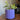 Vaso per piante Mid Century Modern con sottovaso - Fessure lineari