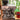 Prolunga del contenitore per chicchi Sage Barista Express (Impress) con scivolo di riempimento