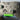 Supporto a parete per controller Xbox